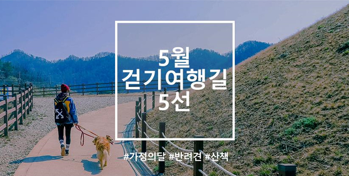  5월 걷기여행길, 반려견과 함께 걷는 산책길 5곳