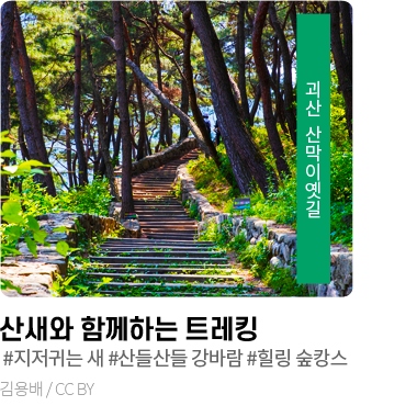 괴산 산막이옛길 - 산새와 함께하는 트레킹 #지저기는 새 #산들산들 강바람 #힐링 숲캉스, 김용배/CC BY