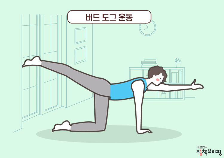 허리 통증 완화 운동/척추에 좋은 5