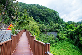 좌구산 분젓치 산새길 테마로드