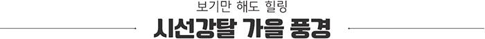 보기만 해도 힐링 시선강탈 가을 풍경