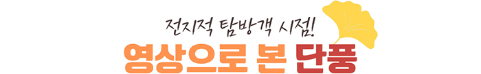 전지적 탐방객 시점!