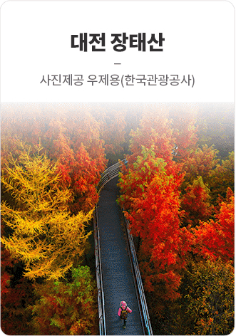 대전 장태산 사진제공 우제용(한국관광공사)