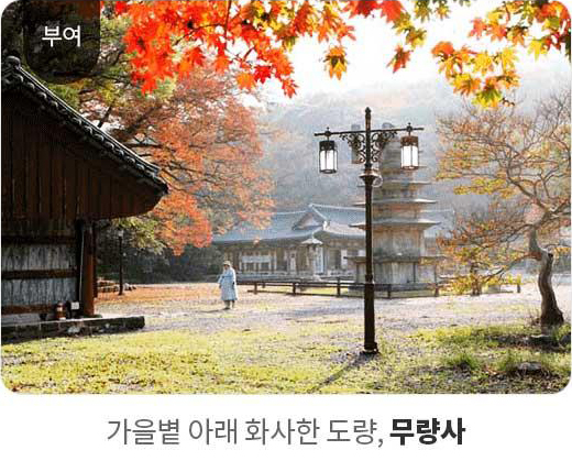부여 - 가을 볕 아래 화사한 도량, 무량사