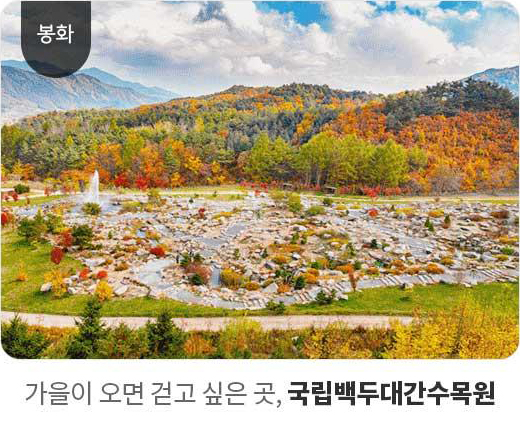 봉화 - 가을이 오면 걷고 싶은 곳, 국립백두대간수목원