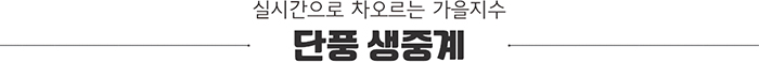 실시간으로 차오르는 가을지수 단풍 생중계