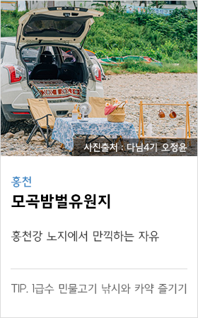 홍천 모곡밤별 유원지 홍천강 노지에서 만기하는 자유 tip. 1급수 민물고기 낚시와 가약 즐기기