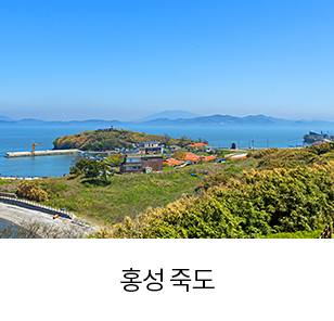 홍성 죽도 새창열림