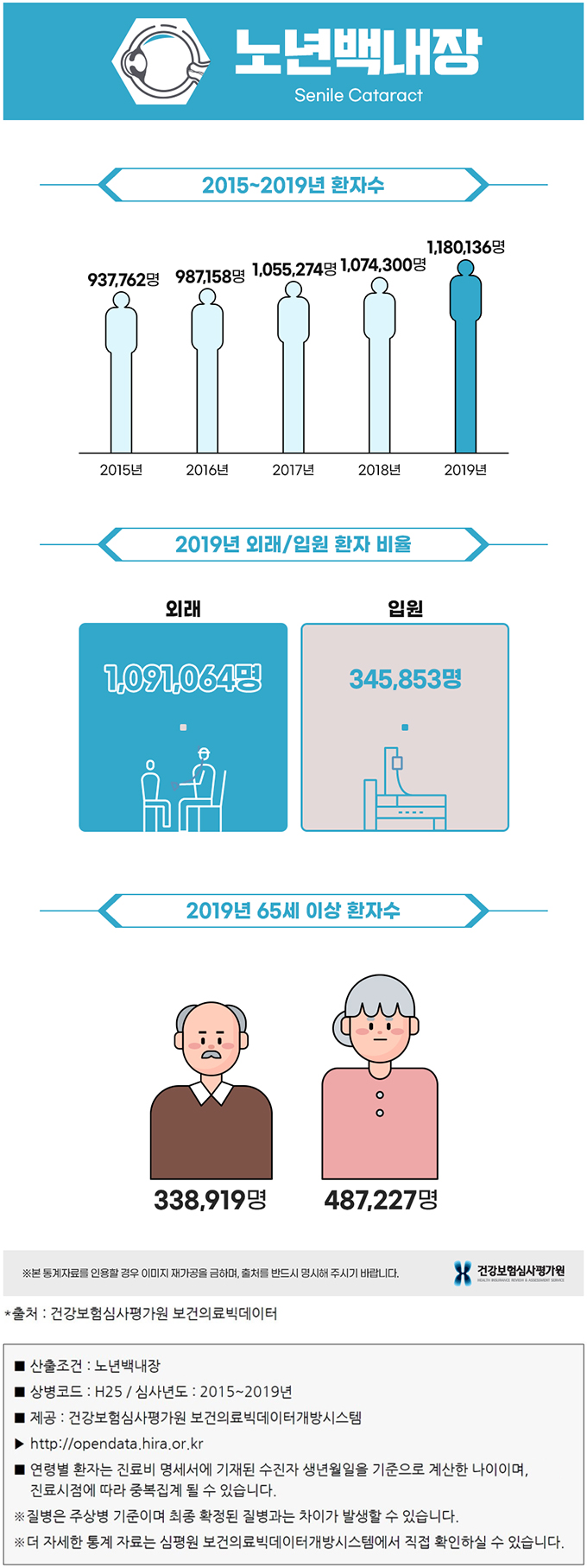 노년백내장