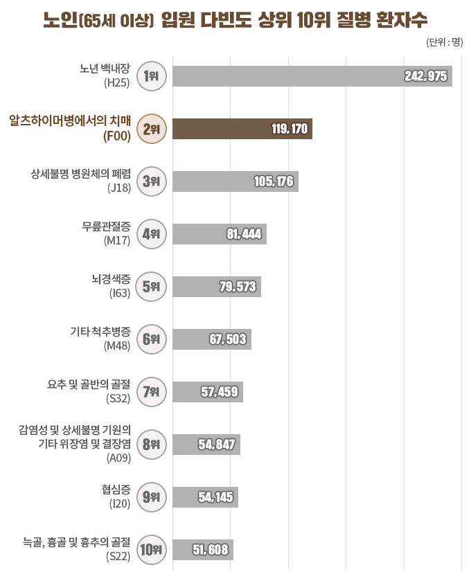 노년층질환 상위 통계자료