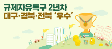 규제자유특구 2년차 대구·경북·전북 ‘우수’