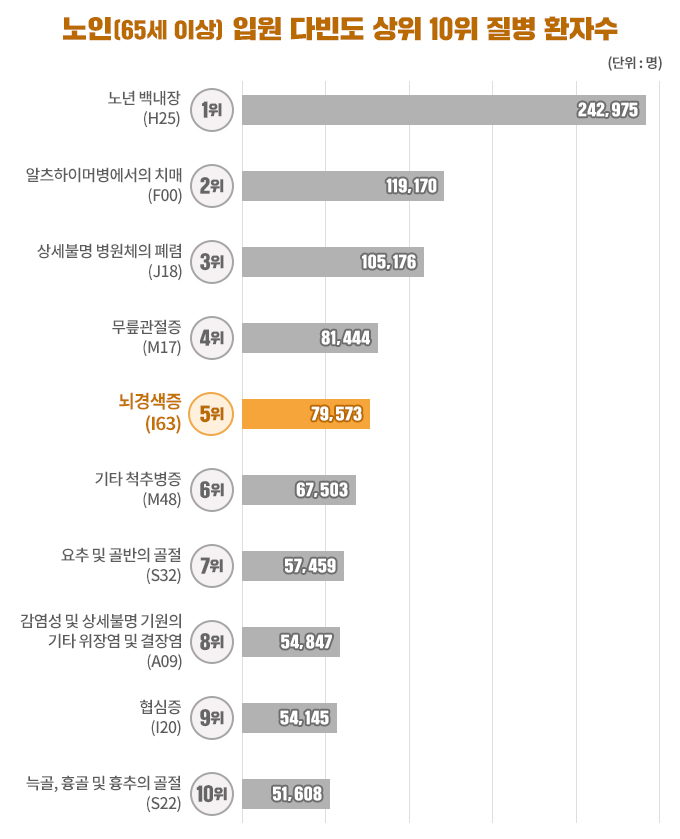 노인 다빈도질환 순위 그래프