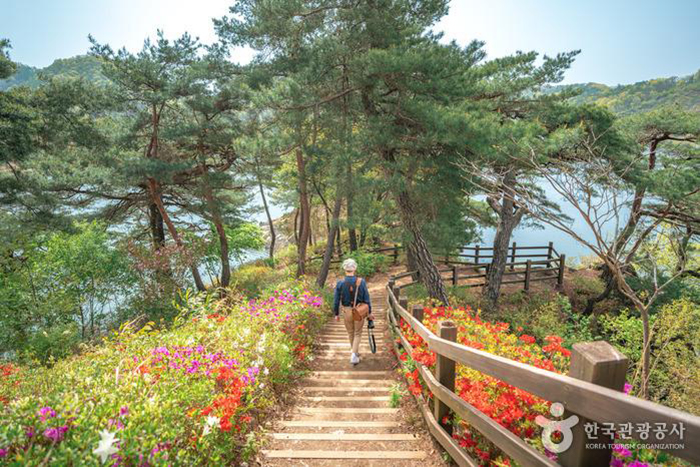 5월의 꽃들이 반기는 산책로 - 한국관광공사