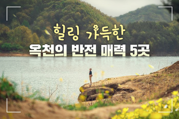 오묘힐링 이미지