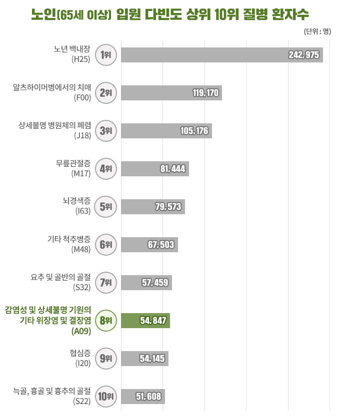 노년층 다빈도 질환