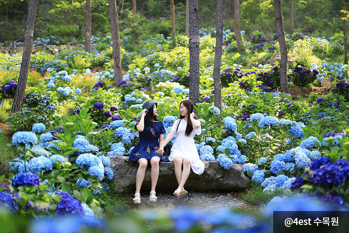 인생 샷 포토존이 수두룩_4est 수목원