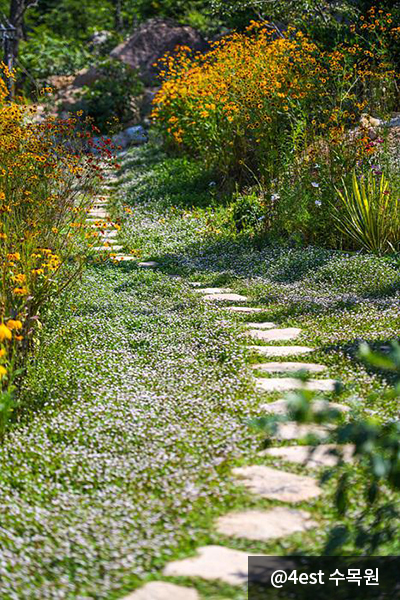 꽃길, 숲길 등 다양한 산책로_4est 수목원
