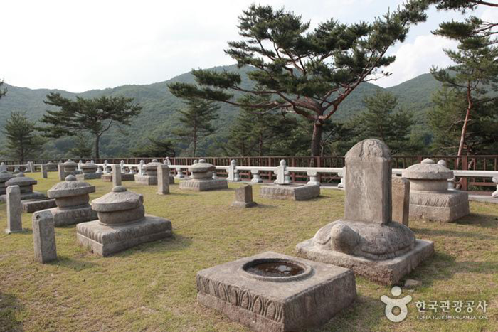 태실 19기가 모여 있는 성주 세종대왕자 태실 - 한국관광공사