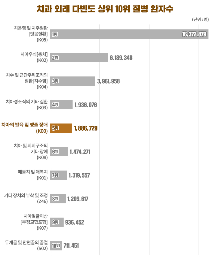 치과 다빈도 질환 순위