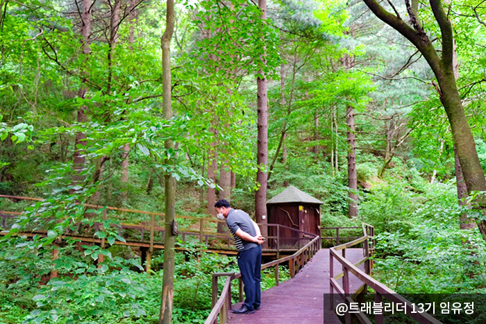 청태산휴양림 데크 산책로에 나무에 걸려있는 글을 보고 있다. @트레블러 13기 임유정