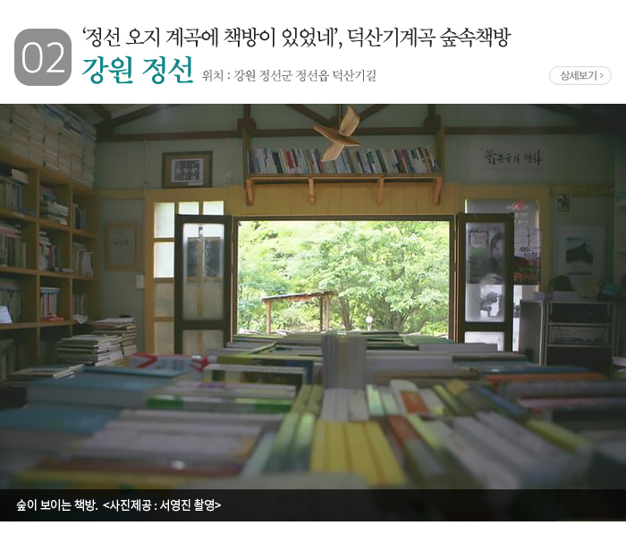 02 ‘정선 오지 계곡에 책방이 있었네’, 덕산기계곡 숲속책방 위치: 강원 정선군 정선읍 덕산기길 사진: 숲이 보이는 책방. 〈사진제공: 서영진 촬영〉