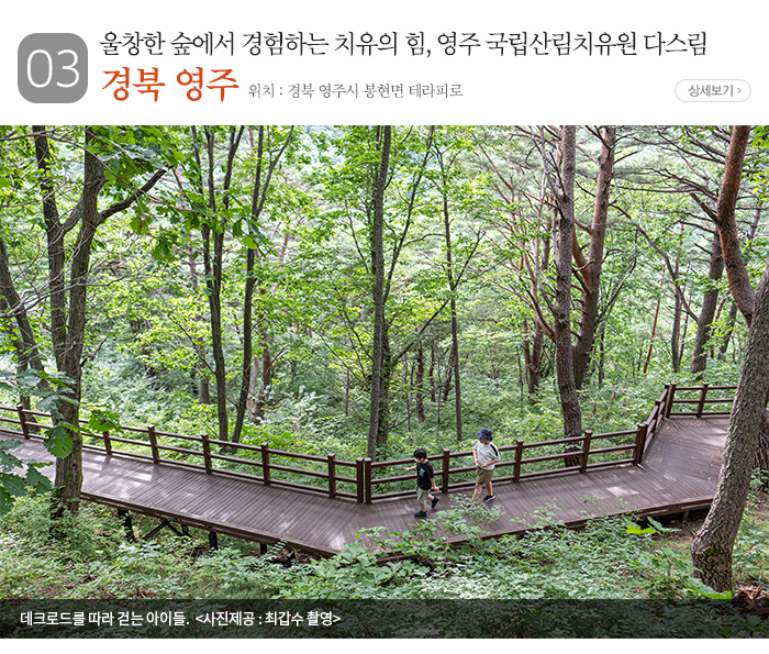 03.울창한 숲에서 경험하는 치유의 힘, 영주 국립산림치유원 다스림 ▶경북 영주 ▶위치 : 경북 영주시 봉현면 테라피로 - 상세보기 ▶데크로드를 따라 걷는 아이들. 〈사진제공: 최갑수 촬영〉