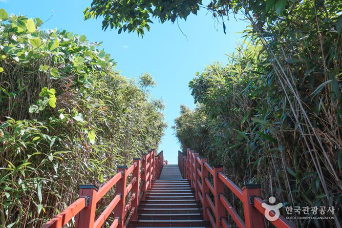 사진 찍지 않고는 못 배기는 ‘천국의 계단’ 포토존 - 한국관광공사