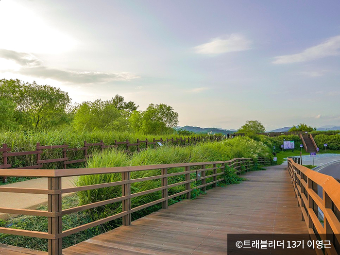 주남저수지 가시연꽃 군락지 - ⓒ트래블리더 13기 이영근