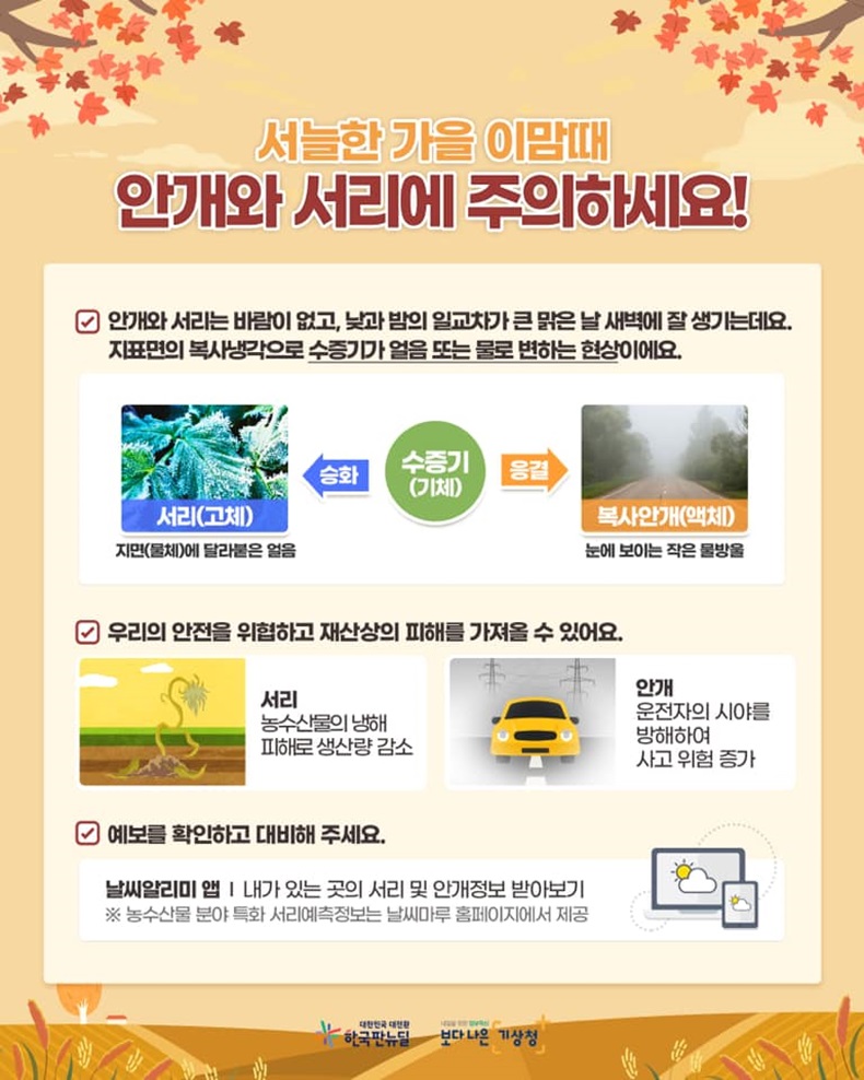 서늘한 가을 이맘때, 안개와 서리에 주의하세요! 하단내용 참조