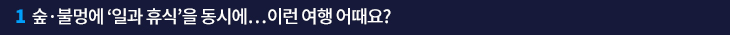 1. 숲·불멍에 ‘일과 휴식’을 동시에…이런 여행 어때요?