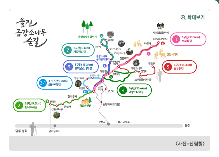 울진금강소나무숲길 지도 ①1구간(13.5㎞)보부상길 ②2구간(9.6㎞)한나무재길 ③3구간(16.3㎞)오백년소나무길 ③-1 3-1구간(9.0㎞)화천만옛길 ④4구간(10.4㎞)대왕소나무길 ⑤5구간(15.3㎞)보부천길 ⑦7구간(5.3㎞)가족탐방길 지도 〈사진=산림청〉 확대보기 새창으로 열림 