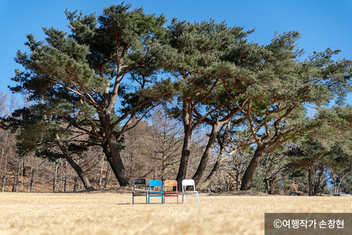 경주 화랑의 언덕 소나무앞 의자 4개 - ⓒ여행작가 손창현