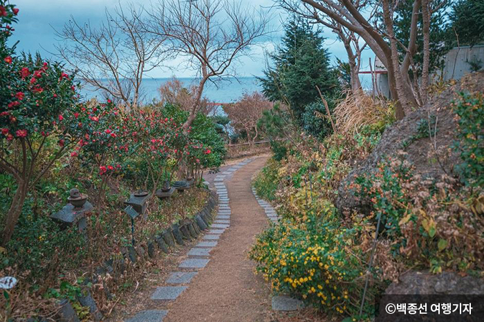 예림원 자생 분재 - ⓒ백종선 여행기자