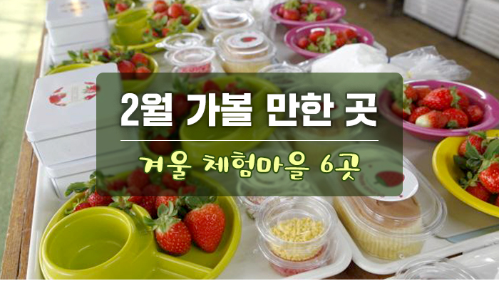  2월 가볼 만한 곳 겨울 체험마을 6곳