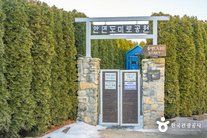 바람아래관광농원의 안면도미로공원 - 한국관광공사