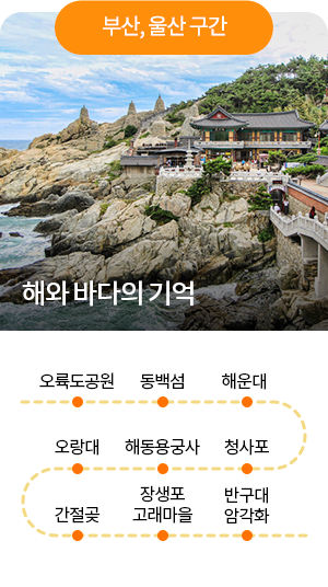 [부산, 울산구간] 해와 바다의 기억 - 오륙도공원 - 동백성 - 해운대 - 청사포 - 해동용궁사 - 오랑대 - 간절？ - 장생포 고래마을 - 반구대 암각화