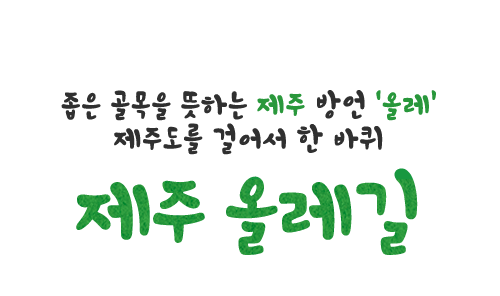 좁은 골목을 뜻하는 제주 방언 ‘올레’ 제주도를 걸어서 한 바퀴 제주 올레길