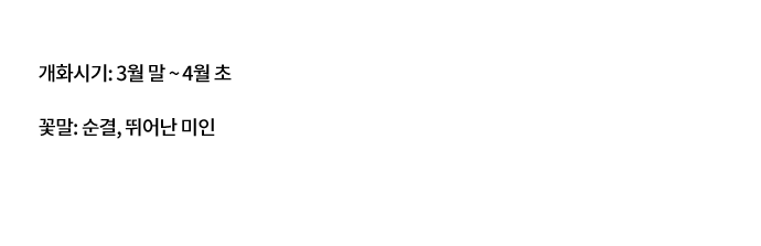 봄날의 마스코트 벚꽃 개화시기: 3월 말 ~ 4월 초 꽃말: 순결, 뛰어난 미인 꽃말: 순결, 뛰어난 미인 연분홍색으로 거리를 화사하게 물들이는 봄의 상징. 향기는 거의 없지만, 꽃잎이 흩날리는 모습이 아름다워 꽃놀이 대상으로 특히 선호한다. 벚꽃을 꼭지 째 절여 차로도 마신다.