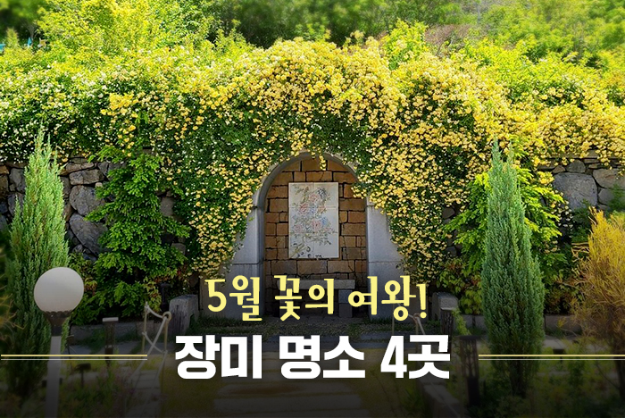 5월 꽃의 여왕! 장미 명소 4곳