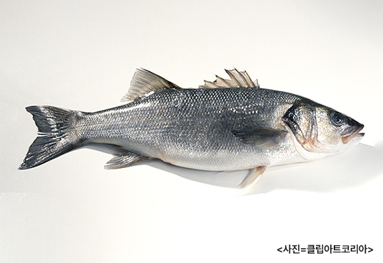 01 1 여름 대표 보양식인 6월 수산물을 소개한다.