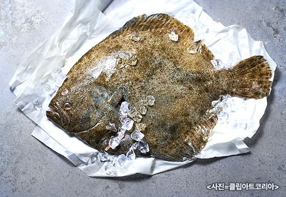 영양소 풍부한 6월 수산물 2가지 영양소 풍부한 6월 수산물 2가지