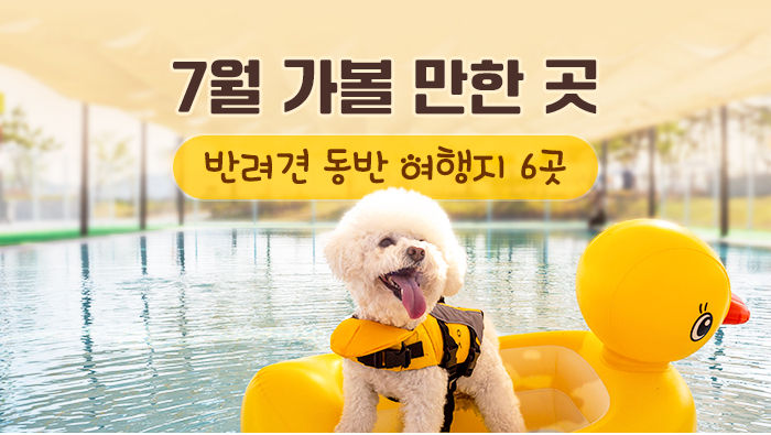 7월 가볼 만한 곳…반려견 동반 여행지 6곳