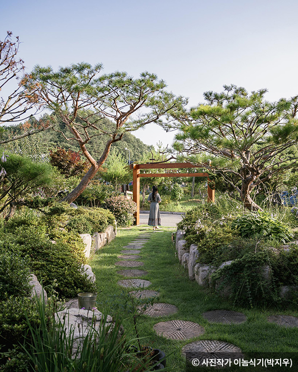 소나무 향이 솔솔 풍기는 정원 풍경 - ⓒ 사진작가 이놈식기(박지우)