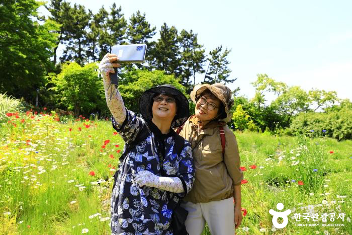 꽃밭 기념 촬영 - ⓒ 한국관광공사