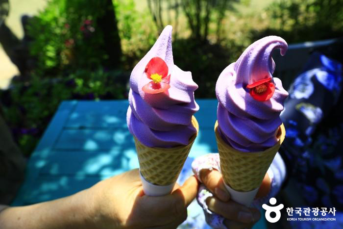 허브샵 라벤더아이스크림 - ⓒ 한국관광공사