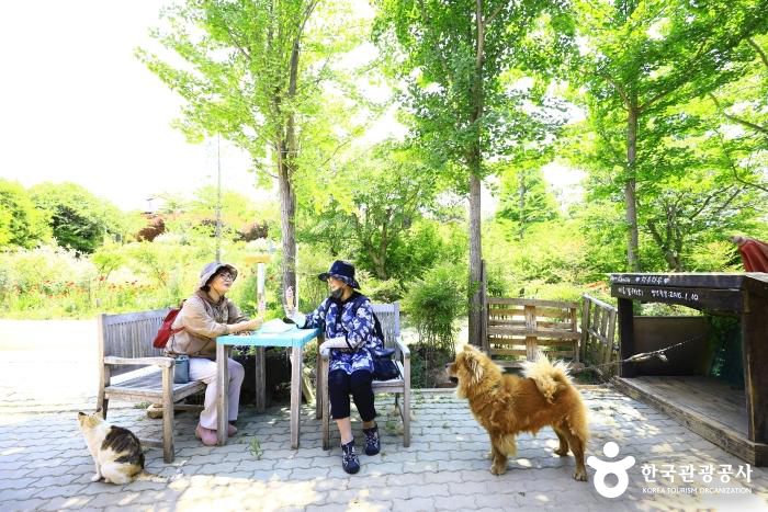 허브샵 야외테이블 - ⓒ 한국관광공사