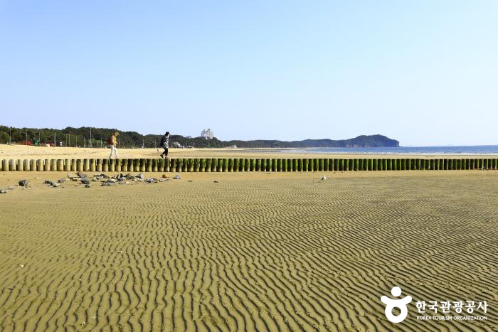 꽃지해수욕장 모래 유실 방지 말뚝 - ⓒ 한국관광공사