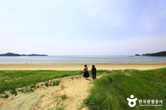 신두리 해안사구 순비기언덕에서 본 해변 풍경 - ⓒ 한국관광공사