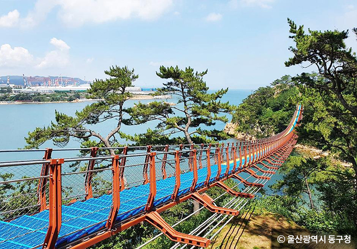 대왕암공원 출렁다리의 길이는 303m, 폭은 1.5m, 해상에서의 높이는 27m다(제공 울산광역시 동구청) - ⓒ 울산광역시 동구청