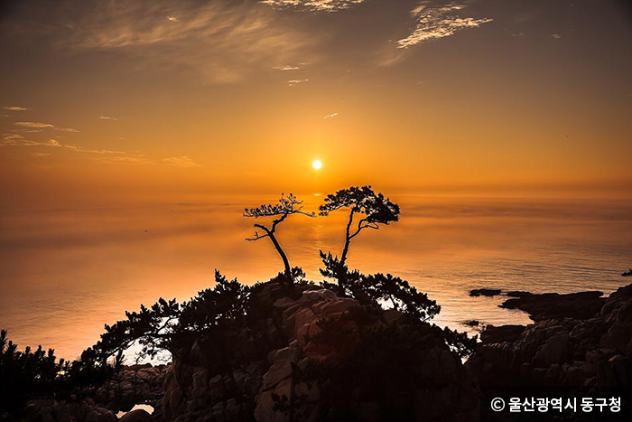 대왕암 일출과 부부 소나무(제공 울산광역시 동구청) - ⓒ 울산광역시 동구청